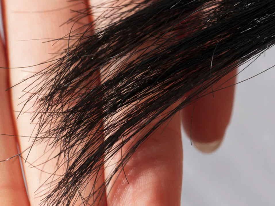 THE REAL REASON YOUR HAIR IS DAMAGED (& WHAT TO DO ABOUT IT)