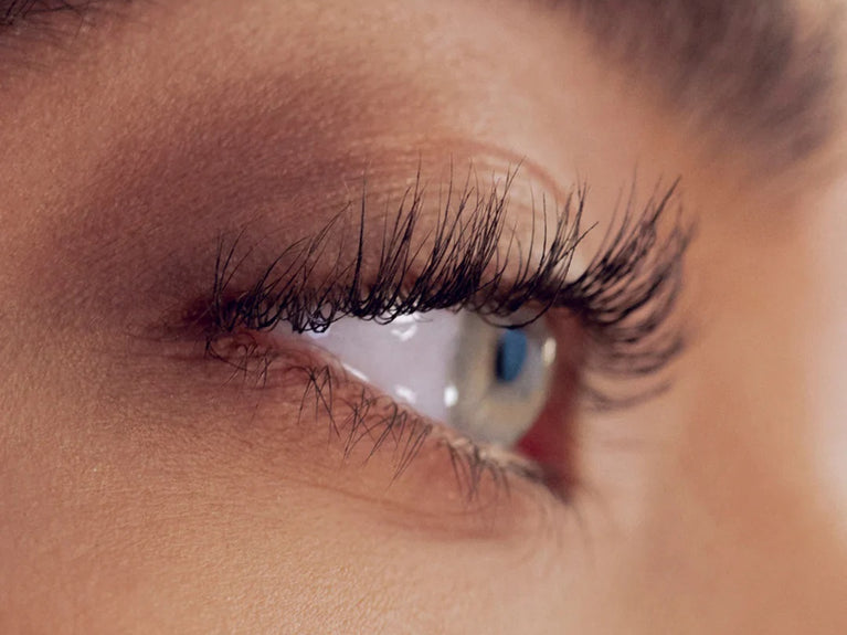 EVERYTHING YOU NEED TO KNOW ABOUT YOUR LASH CYCLE